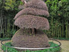 -苏州河梦清园环保主题公园