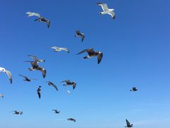 -海驴岛(荣成市)