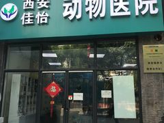 -佳怡动物医院·平价24小时·猫专科骨外科