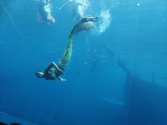 -瑞德姆美人鱼海底演艺主题餐厅(亚龙湾店)