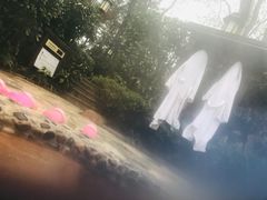 -天目湖涵田半山温泉