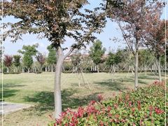 -南湖湿地公园