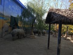 -西安秦岭野生动物园