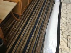 -长沙小天鹅戴斯酒店