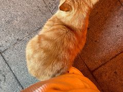 -山四砂锅(钟楼街店)
