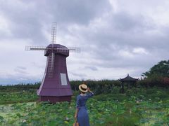 -武汉紫薇都市田园