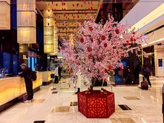 -上海龙之梦万丽酒店