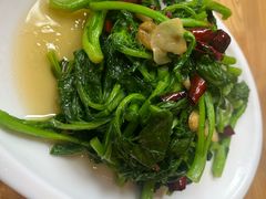 炝炒白油菜-永乐饭店
