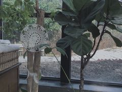 -北马山庄植趣咖啡