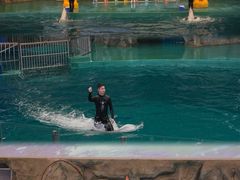 -威海华夏城景区