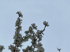 -南开大学(津南校区)