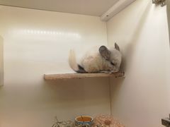 -龙猫仔乐园(惠福东路店)