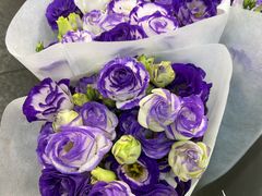 -双季花艺园艺市场(浦东店)