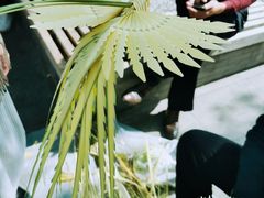 -卢沟桥文化旅游区(卢沟桥)