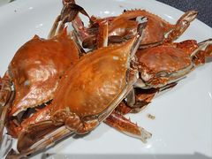 -连鹭海鲜·海肠捞饭·海胆饭(星海店)