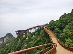 -少华山国家森林公园