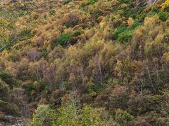 -小五台金河景区