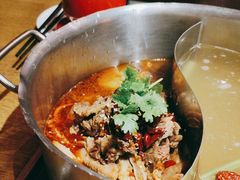 -牛很鲜潮汕牛肉火锅(朝晖路店)