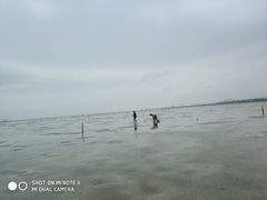 -北海金海湾红树林生态旅游区