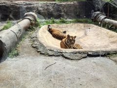 -杭州野生动物世界