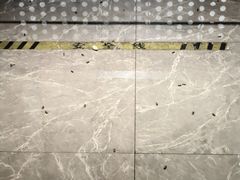 -中安射击运动俱乐部