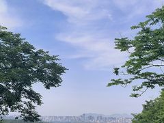 -八卦田遗址公园