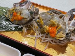 -渔娘渔家丹东海鲜(东直门店)