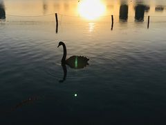 -Siam泰餐厅(水上公园店)