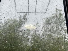 -川香煲(茅台路店)