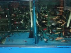 -三旗百汇商品城