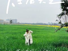 -三圣花乡旅游区