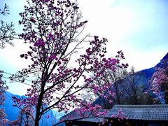-九皇山景区
