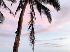 -海角轩·三亚文华东方酒店