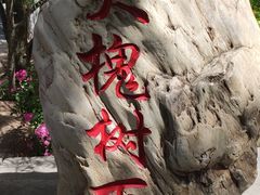 -大槐树寻根祭祖园