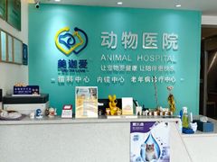 -美迦爱-牙专科·兔科·骨科诊疗中心(北苑店)