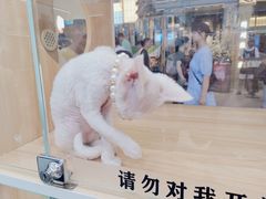 -时尚天河商业广场