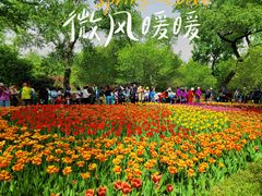 -国家植物园