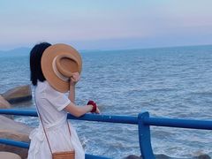 -那琴半岛地质海洋公园