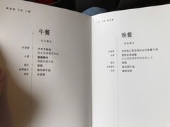 -新加坡航空公司(ION)