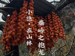 -抱龙峪