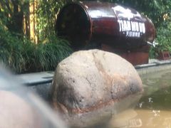 -天目湖涵田半山温泉