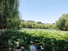 -廊坊市自然公园