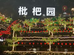 -枇杷园食为鲜火锅(南山店)