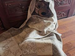 -LOEWE罗意威(北京SKP女装店(一层))