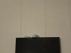 -鸥迪足道会馆(北京街店)