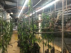 -荔城生鲜盛宴(番禺旗舰店)