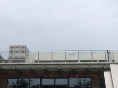 -瑶湖郊野森林公园