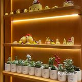 豆腐布丁吃过了吗？