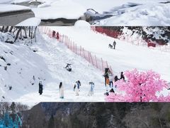 -叠溪松坪沟景区