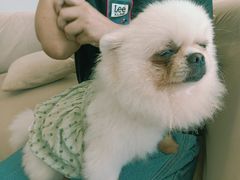 -怪兽屋·羊驼·猫咖·狗咖(俊华广场店)